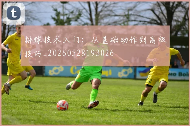 排球技术入门：从基础动作到高级技巧_20260528193026
