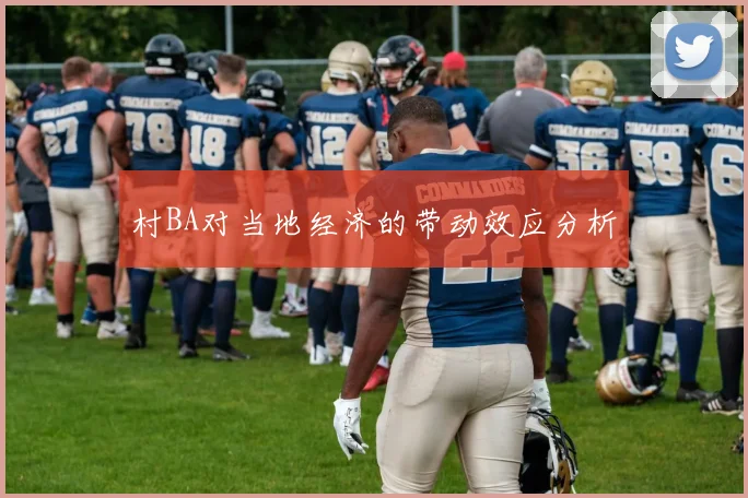 村BA对当地经济的带动效应分析