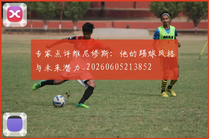专家点评维尼修斯：他的踢球风格与未来潜力_20260605213852