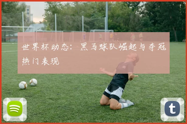 世界杯动态：黑马球队崛起与夺冠热门表现